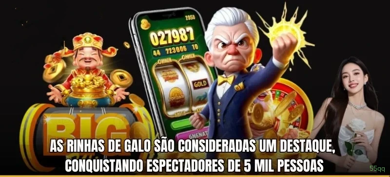 55qq Site Oficial